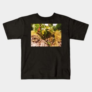 Pendle Fairy Garden Kids T-Shirt